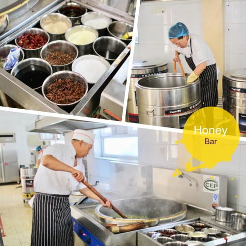 榜样堂网红食谱走红，营养丰富背后的食品安全与专业咨询指南