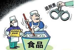 第七营养 应对中国老人与富人的食品安全焦虑——聚焦专业营养咨询服务的崛起